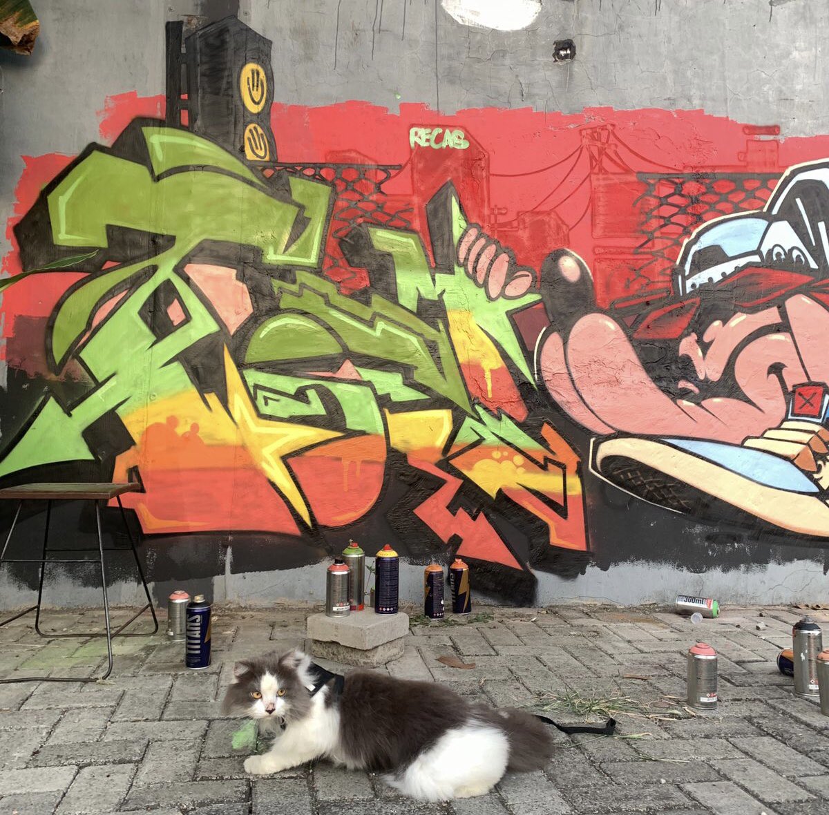 KrowakMin's tweet image. Dari awal gambar sampai selesai nimbrung aja si meong
🐈