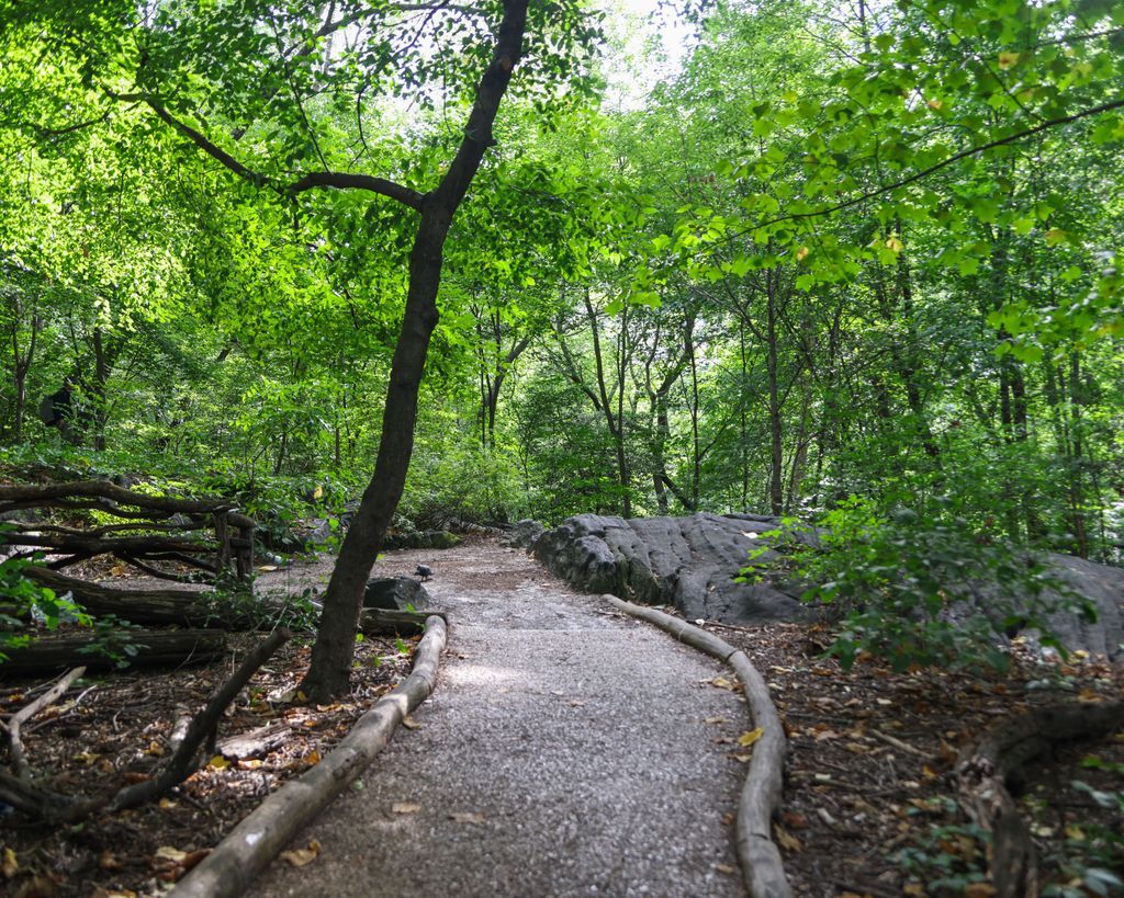 CentralPark_NYC's tweet photo. Hallett Nature Sanctuary is the city's best-kept secret! This peaceful sanctuary is a hidden gem worth finding.🌲🐿️ #CentralPark #HiddenGemsNYC #HallettNatureSanctuary #UrbanJungle 📸 Emma Goldschmidt https://t.co/GUXqO54sVQ