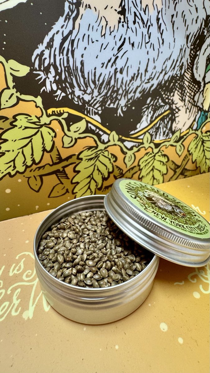 New York City Diesel is in stock now🔥
We’re also happy it’s finally back!

Use this special coupon only for followers on X😎you’ll get 30% discount on NYCD.

nycdxonly25

somaseeds.nl/product/new-yo…

Keep it green💚