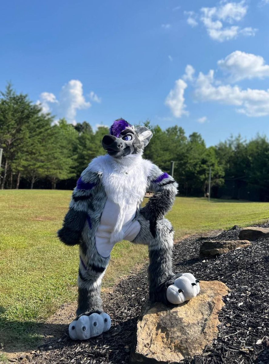 Shane🏳️‍⚧️ tweet media