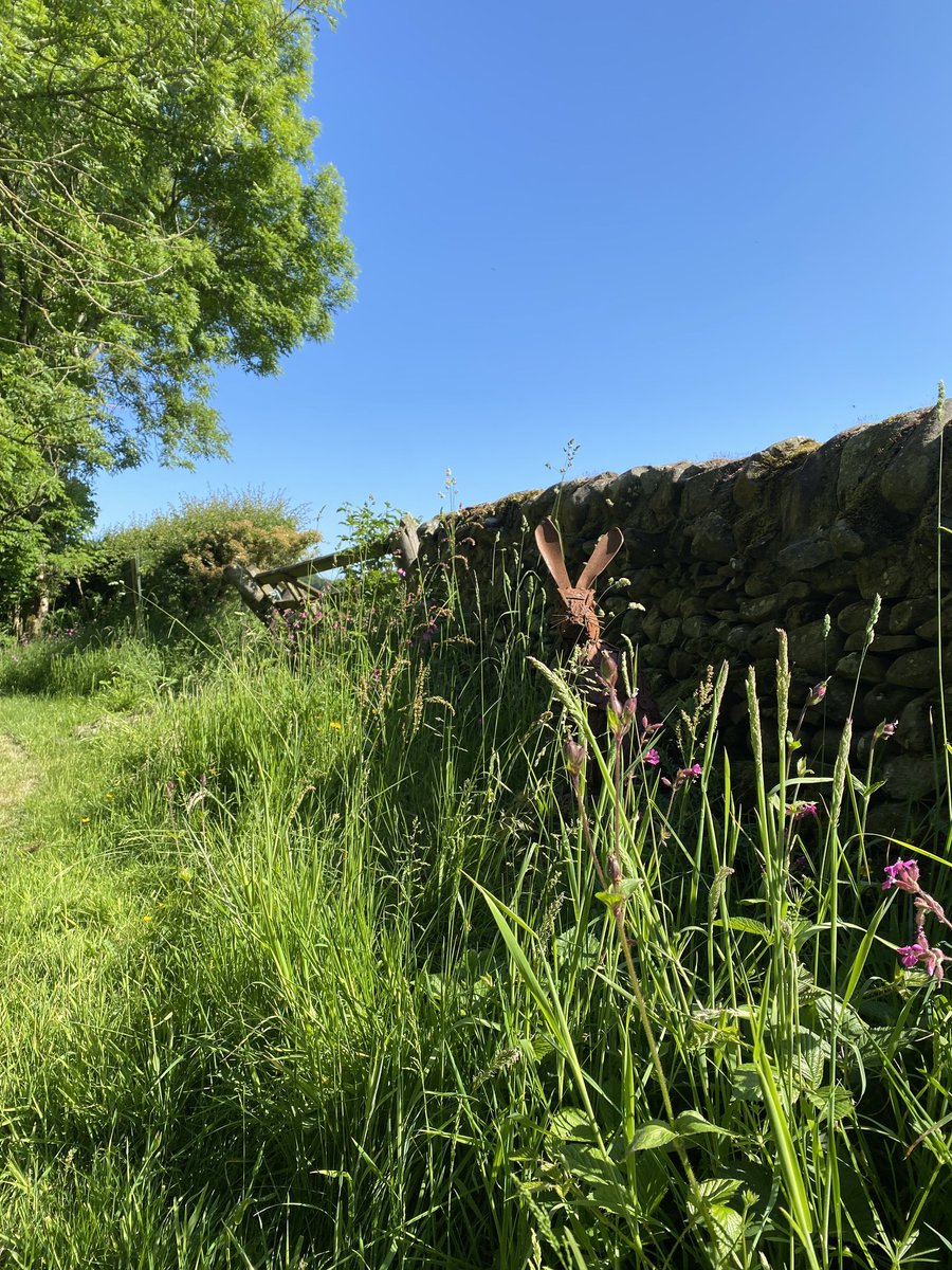 Robert Burns Ellisland Museum & Farm tweet media
