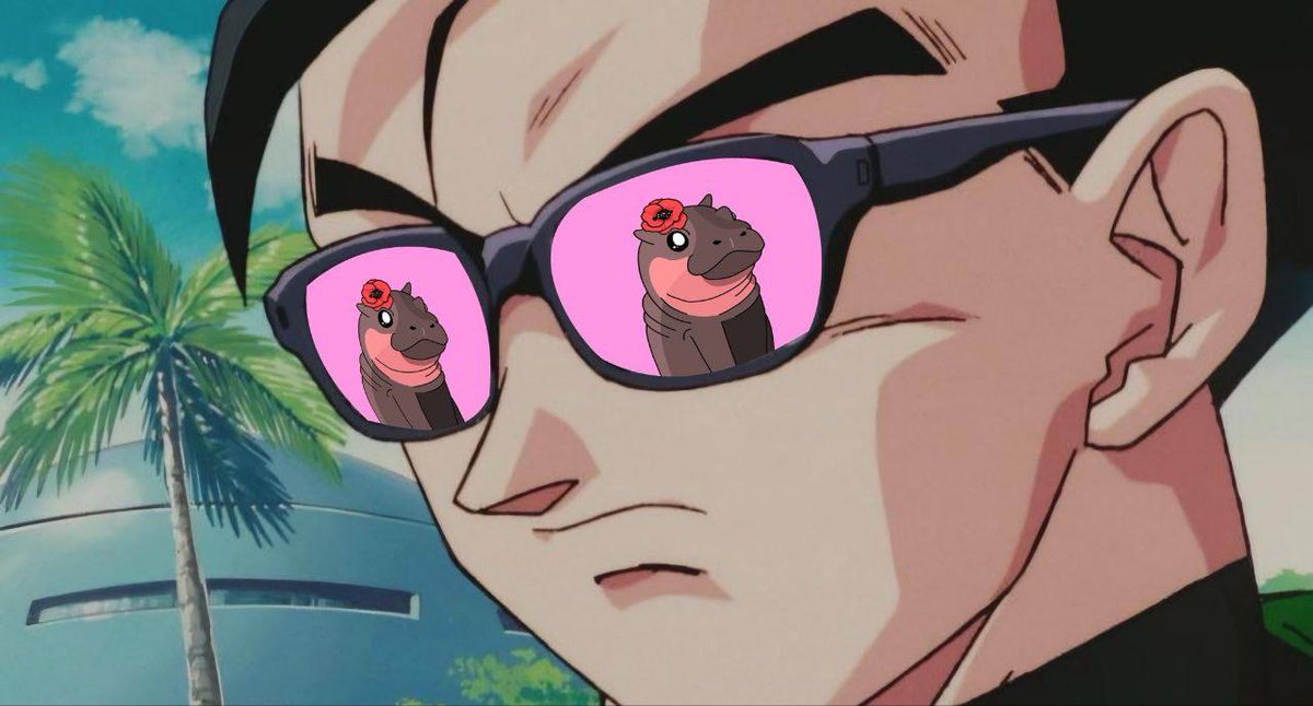 BiancaXlaim's tweet image. Still looking for a rug free memecoin when $POPPY is here for you. $POPPY is the blood cousin of #MOODENG, another notable Pygmy Hippo.
CA:
GD1AR5uHytu7nHJ9zWYEEHytmLe7MaD8wg6Tzesdpump
X: @PoppyThePygmy