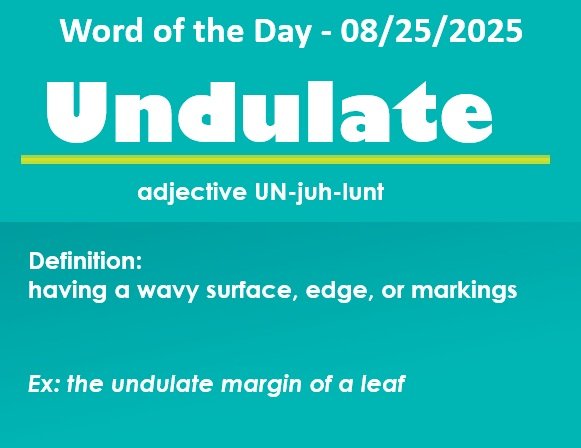 Broward Comm Schools (@browardcs) on Twitter photo Fun fact: English has the largest vocabulary, with thousands of new words added yearly, though most of us only use a fraction of words we know.
If you are a native speaker and would like to learn more English message us for us. #gettherefl <a href="/ACEofFlorida/">ACE of Florida</a> <a href="/HenmackIII/">Henry Mack III</a> Fun fact: English has the largest vocabulary, with thousands of new words added yearly, though most of us only use a fraction of words we know.
If you are a native speaker and would like to learn more English message us for us. #gettherefl <a href="/ACEofFlorida/">ACE of Florida</a> <a href="/HenmackIII/">Henry Mack III</a>