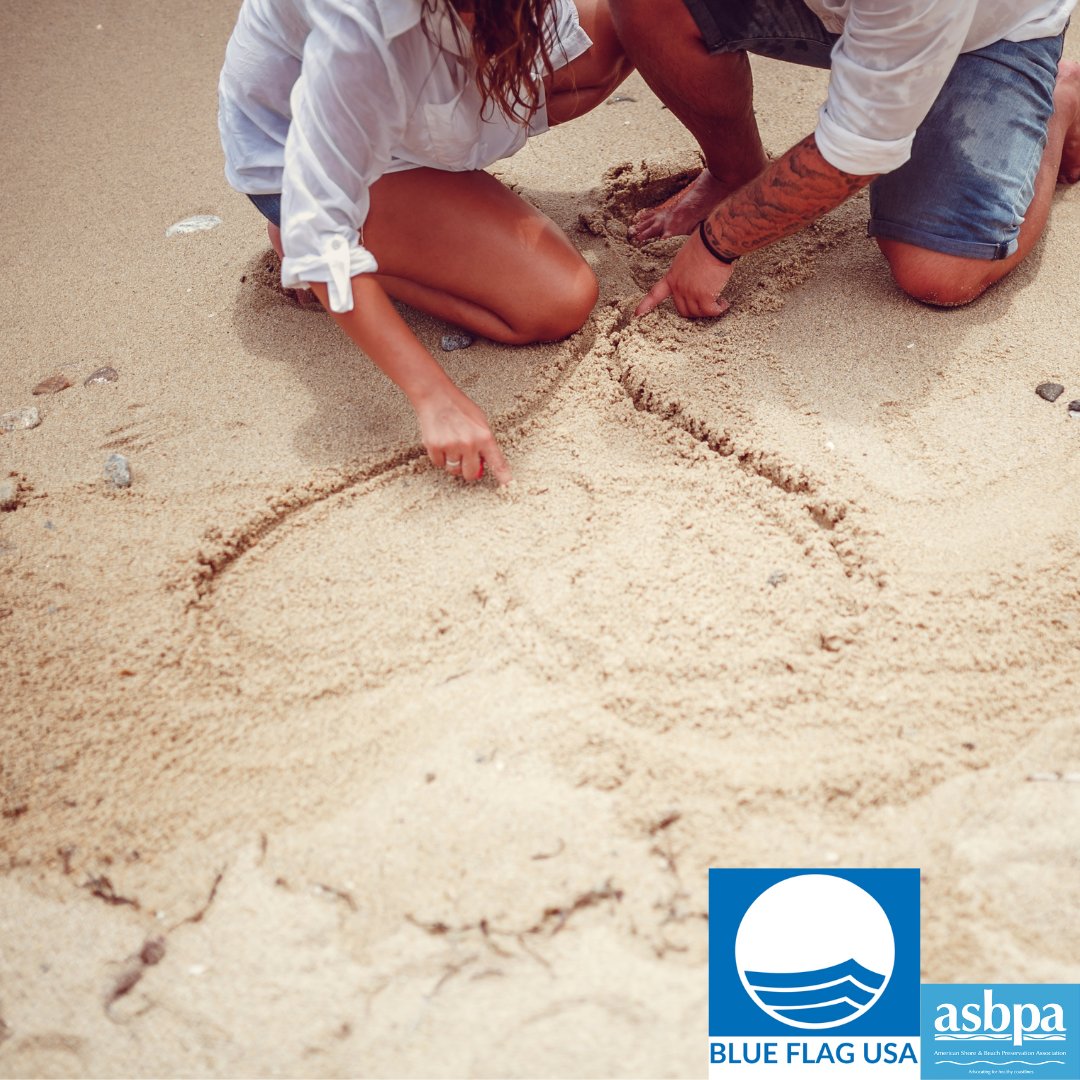 Join us in giving back to our beaches! 🏖️This #NationalBeachDay, support your nation’s coasts in contributing to a stronger coastal future. 💪🌊Be a part of the movement at zurl.co/cPjh2 <a href="/asbpa/">American Beaches</a>  #BlueFlagBeaches #NationalBeachDayASBPA #SupportOurCoasts