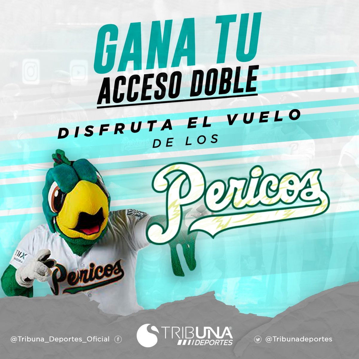 ⚾🔥 Tenemos tu acceso DOBLE para el cuarto de la serie de zona entre <a href="/DiablosRojosMX/">DiablosRojosMX</a> 👿🆚️🦜 <a href="/Pericos_Oficial/">Pericos de Puebla</a>

💚 Reacciona a esta publicación.

💚 Como comentario deja tus 3 emojis de la suerte para el equipo. 

⚠️ GANADORES sl azar 🔥🔥⚾⚾
