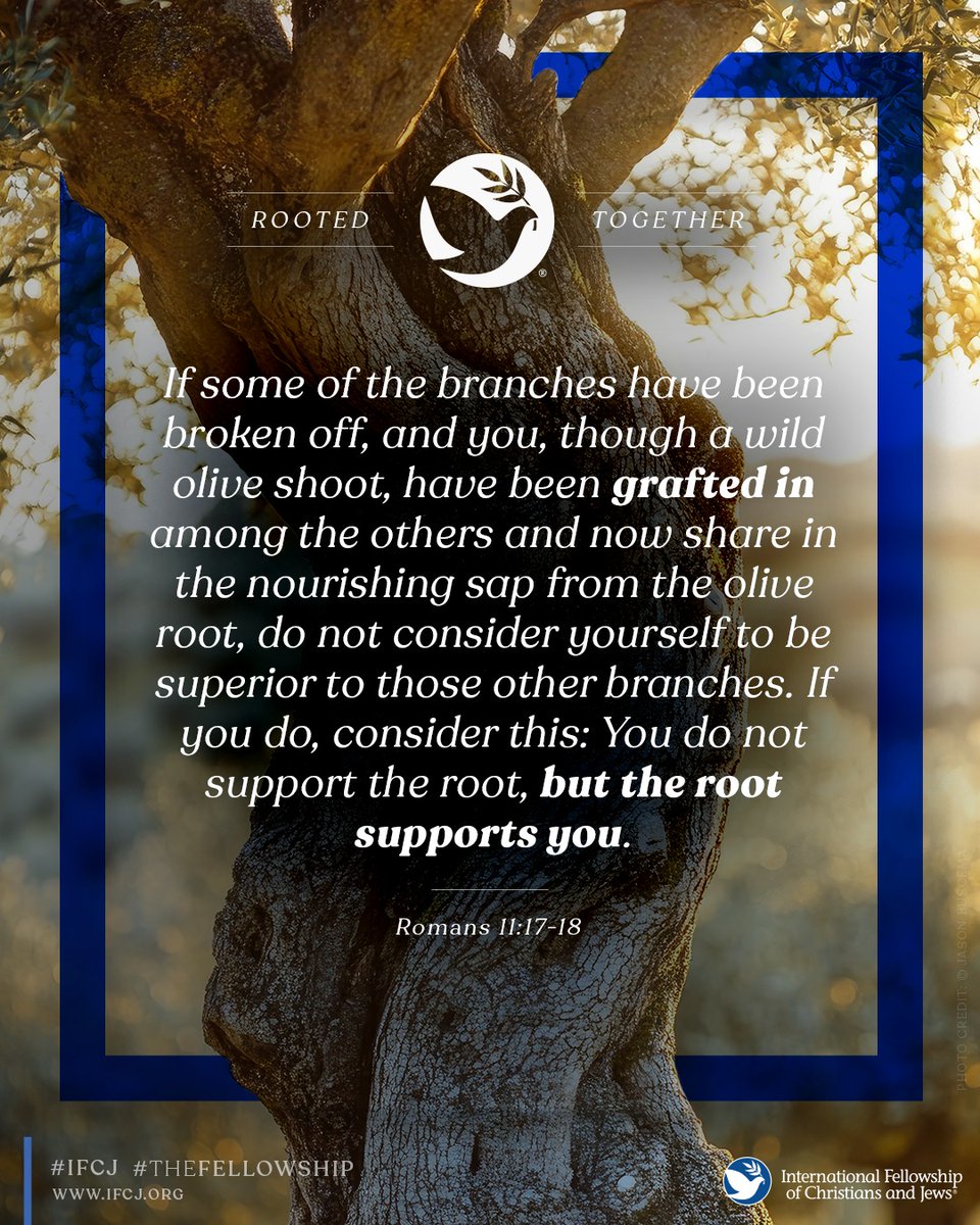 Romans 11 gives us this holy reminder:
"You do not support the root, but the root supports you."

As Christians, we’re grafted into God’s promises to Israel. Not above, but alongside.

This truth should humble us. It should also ignite us to pray, to offer our support, and to