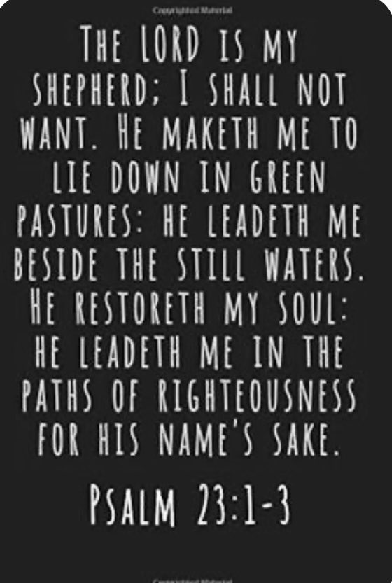 Good morning friends.
My Shepherd!!
Have a great day. ♥️♥️