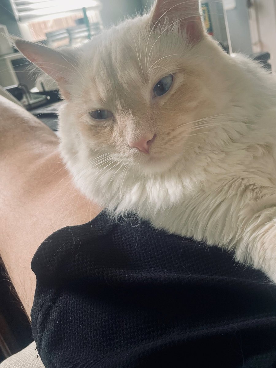 He’s helping