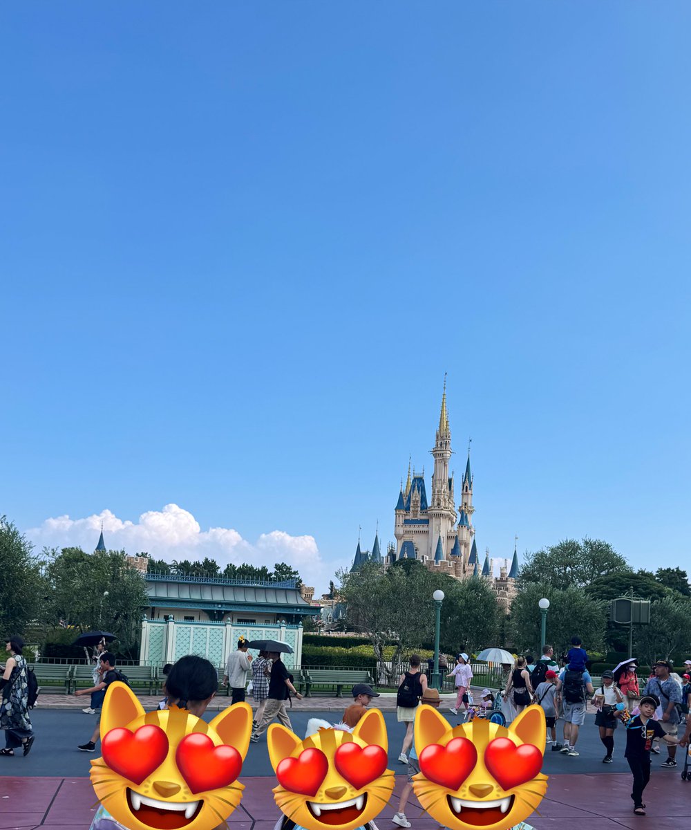 sunamami's tweet photo. 真夏のデズニー暑過ぎて娘と二人熱中症なりかけた🫠
でも念願のバンコクでの大好きファミリーと行けたので楽しかった🥹
でも次からは春にしよう、、🌸
先に離脱して申し訳なかったな🥲
楽しい時間はあっという間。
次に会えるときまで、元気にがんばろっ https://t.co/Vo6jHppP8m