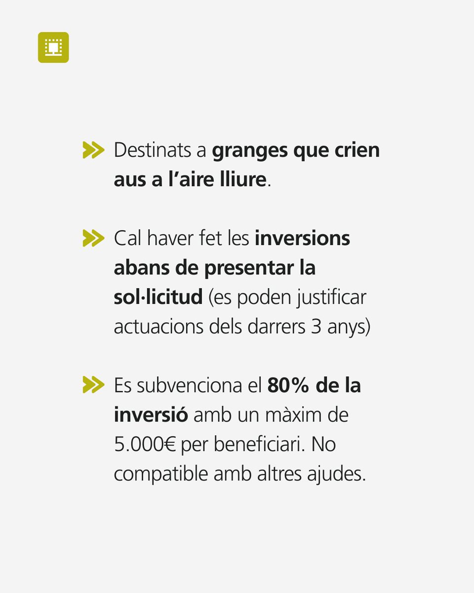 agroxarxa's tweet photo. Nou #ajut per a infraestructures de #bioseguretat per #granges d'aus a l'aire lliure.
📢 Convocatòria al setembre → Només hi haurà 10 dies hàbils per presentar sol·licitud!
🔗 Més info aquí https://t.co/Ram39bwotg https://t.co/9i0bprzZdy