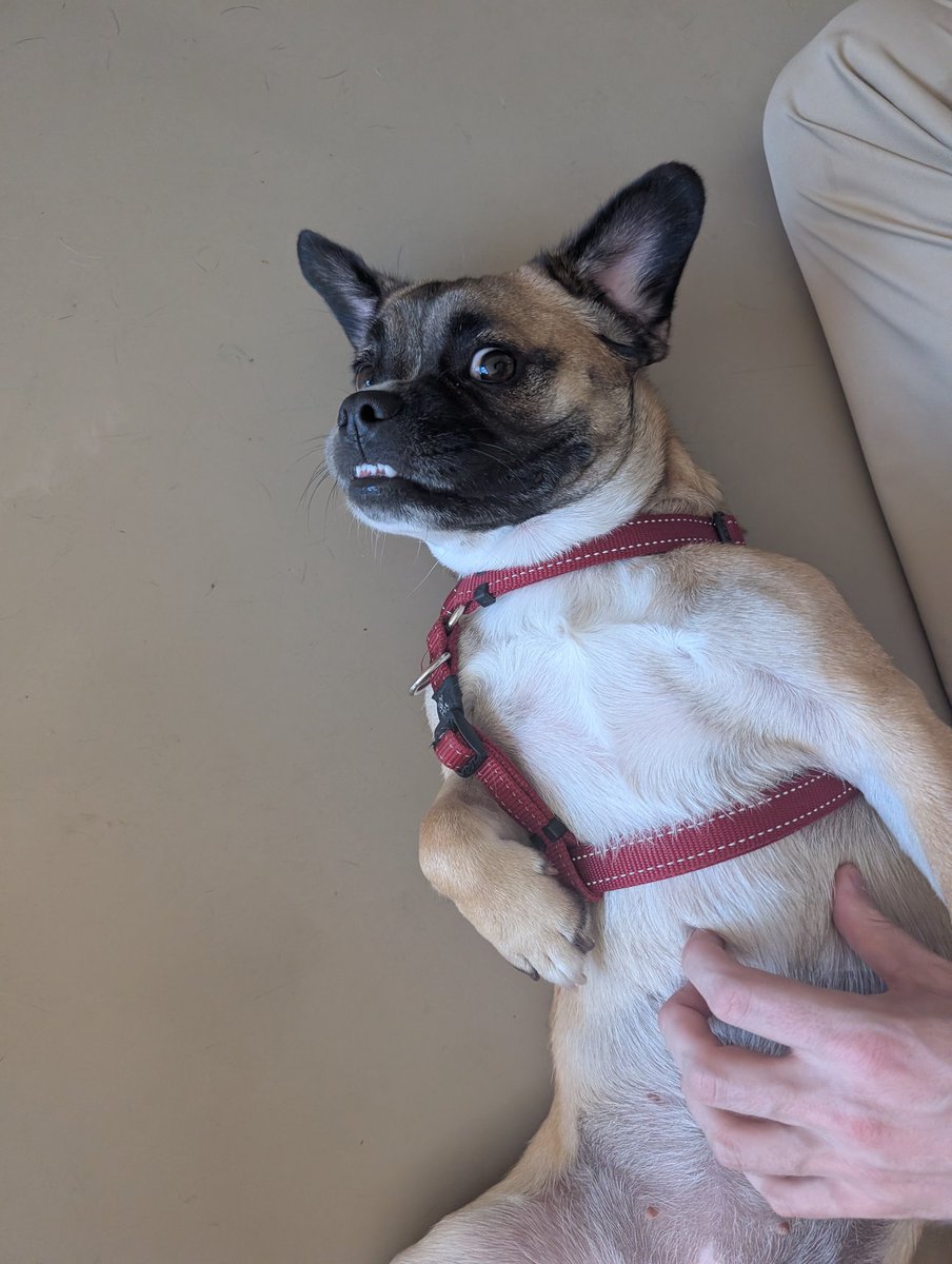 Pronoia 🫡 (@pronoia10) on Twitter photo 