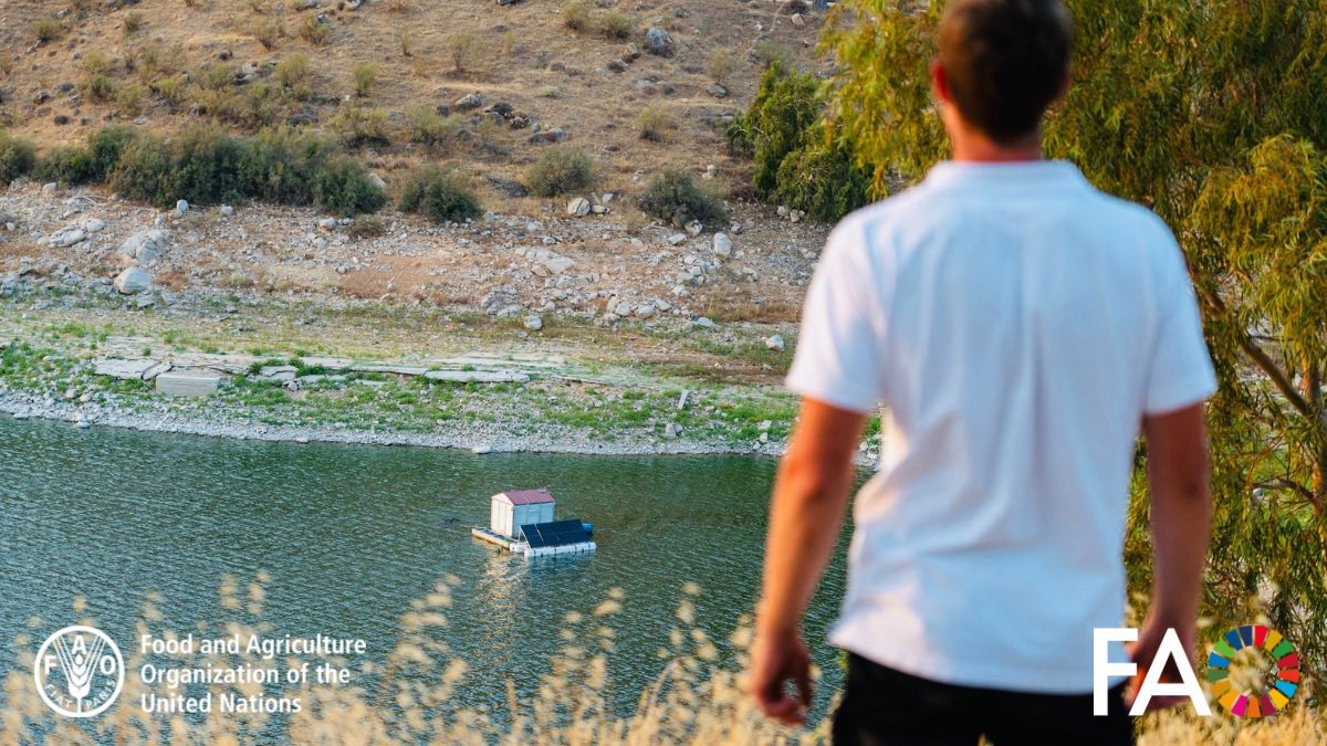 FAOJordan's tweet photo. A new era for clean energy in 🇯🇴!

The installation is complete for Jordan’s first floating solar system at King Talal Dam. ☀️

This pioneering project, funded by @FAO &amp; implemented in cooperation with the #Jordan Valley Authority.

#Innovation #CleanEnergy #Sustainability https://t.co/j8O27SEvCI
