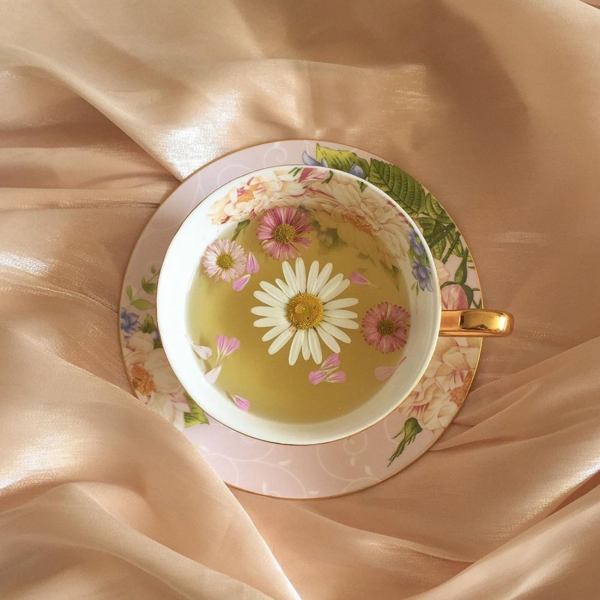 heart_jpg's tweet photo. cups of flowers https://t.co/SOw96wjtq9