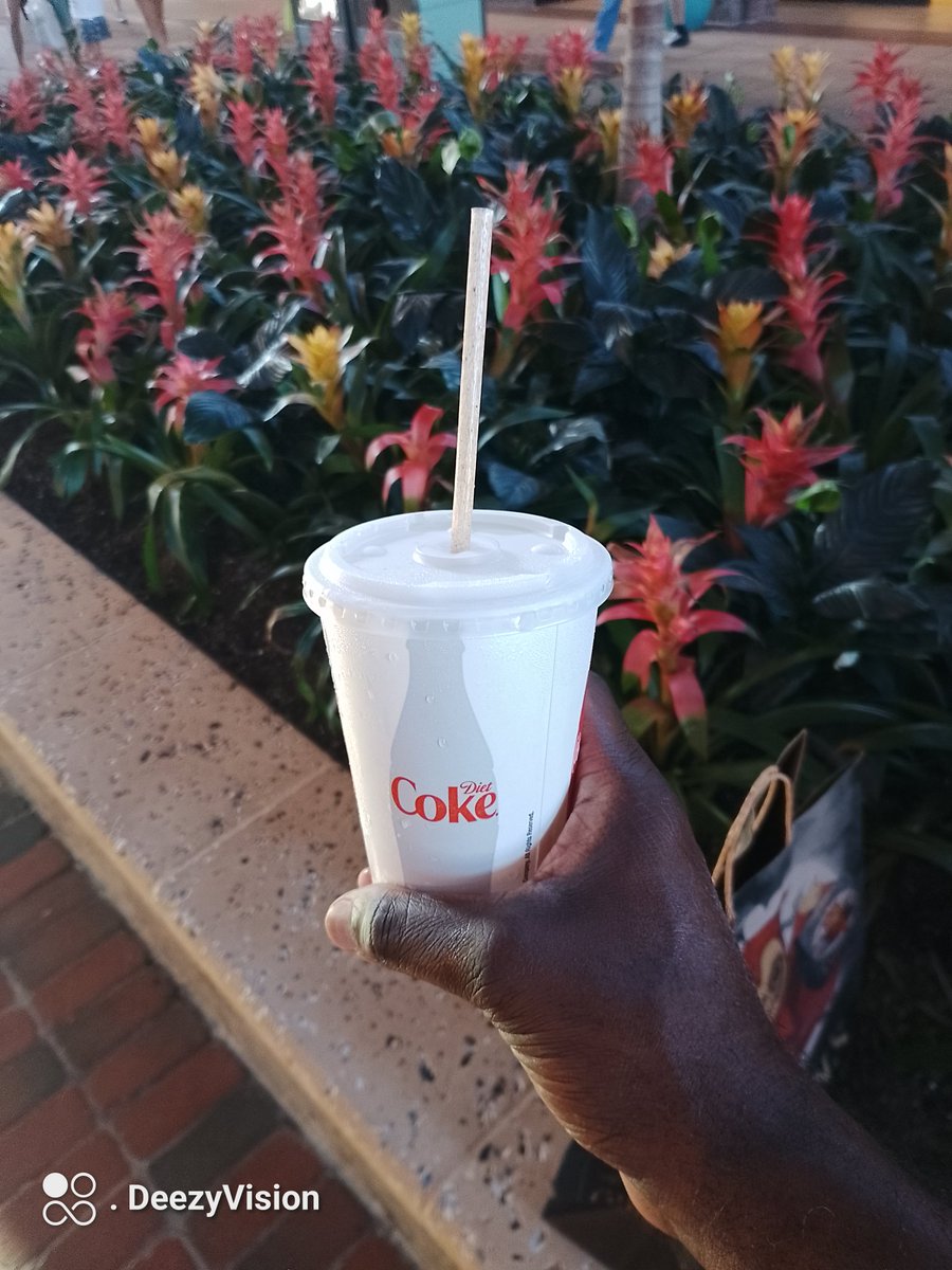 DVision242's tweet photo. This Beverly drink is awful 🤢 

#deezyvision #disneysprings #beverly #coke https://t.co/WPaAd5Wuem