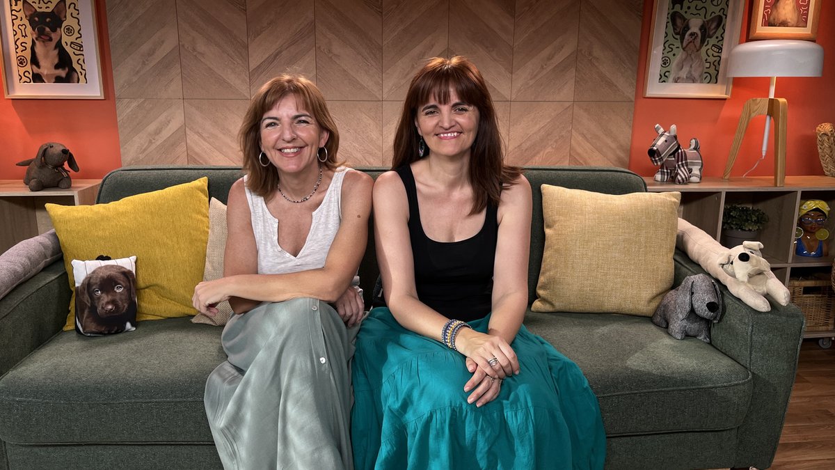 RTVE_Com's tweet photo. Varias historias sobre segundas oportunidades se entrelazan este martes en #DogHouseTVE 💖🐶

🔸Martes 26 de agosto, después de @centrodelatele  en @La1_tve y @rtveplay 📺

https://t.co/ysPy26IpeG https://t.co/o3s5sYzxXy