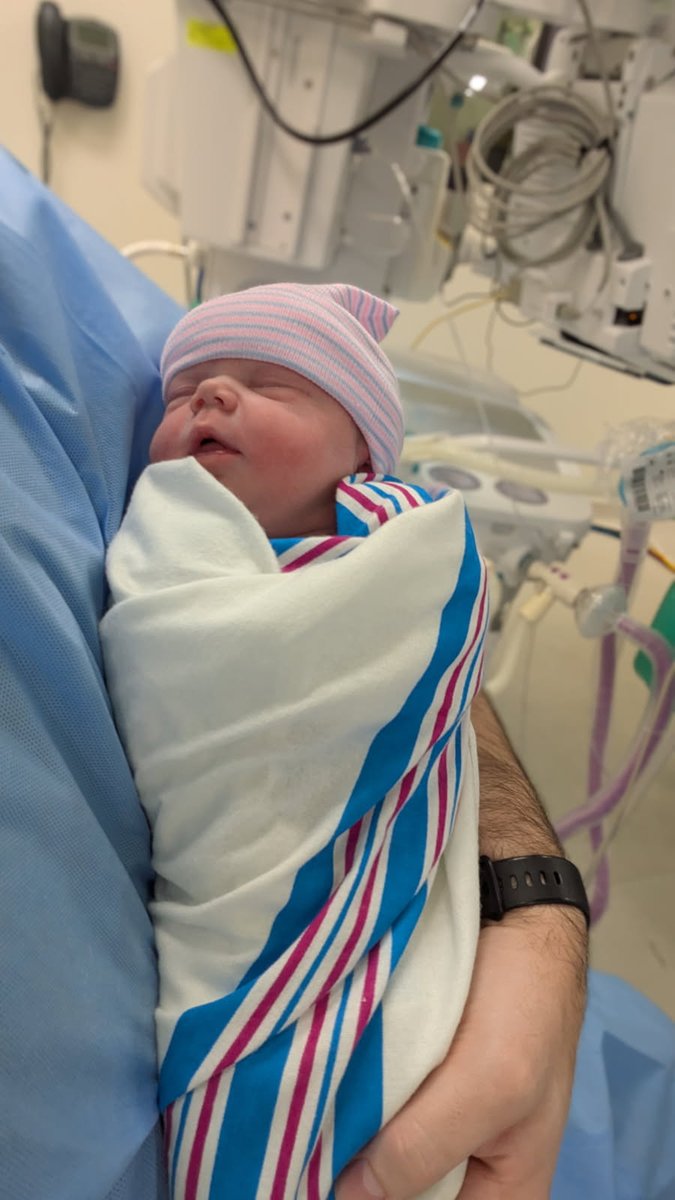 Jennifer Reeser๐บ๐ธ ๐โ๏ธ (@jennifereeser) on Twitter photo My new grandchild, friends. My new grandchild, friends.