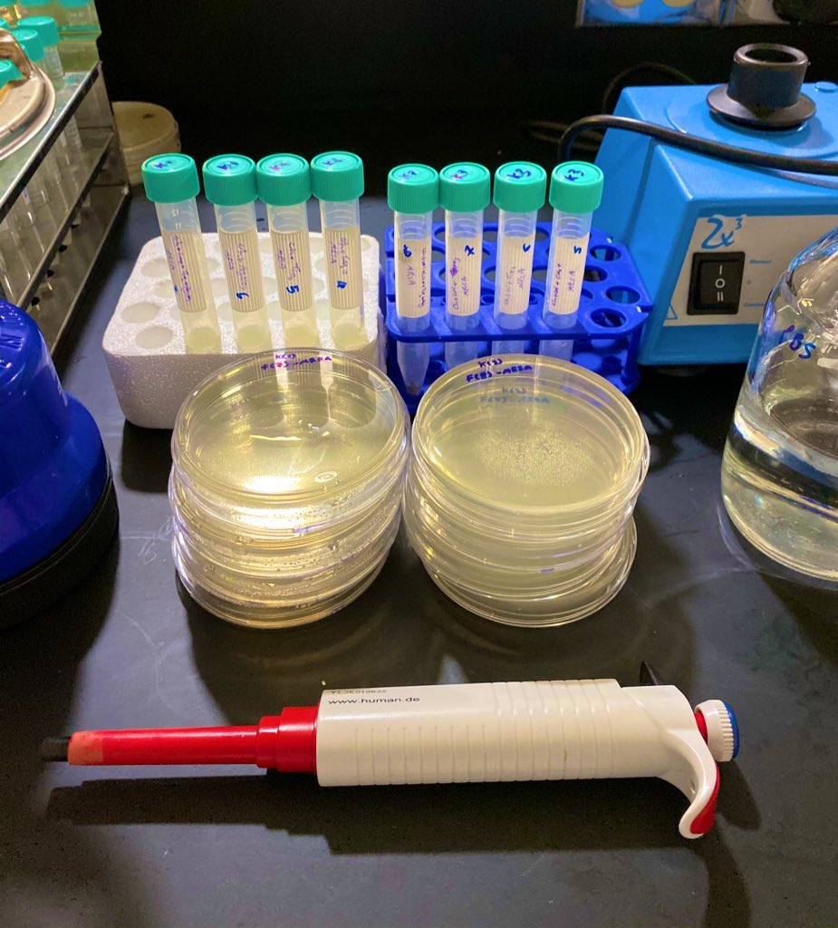 ايش عندكم أفكار بحثيه لو انكم بمختبر تتمنو تكتشفوها🔬🧑‍🔬👩‍🔬

يكون لها علاقة بالبكتريا🦠🧫