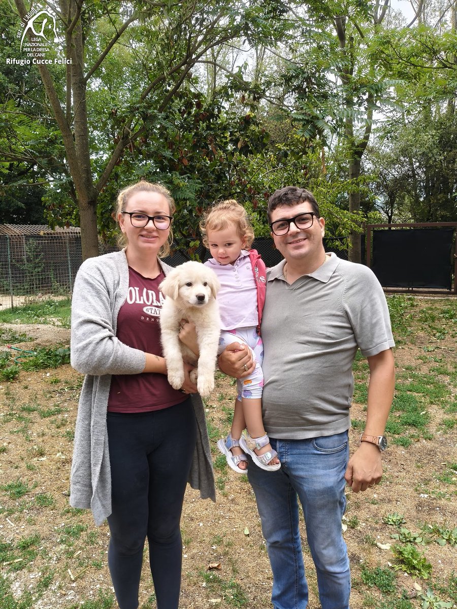 cuccefelici's tweet photo. Ale, recuperata insieme ai fratelli mentre vagava in un quartiere della città, va a casa. Grazie a Simone e alla sua famiglia per aver scelto di #adottare in #canile.
🫵 Arricchisci la tua vita: adotta! 🐾 ➡ https://t.co/shZ2uj2VLo #LAquila #LegadelCane #LNDC #noncomprareadotta https://t.co/pGgqZbjUNg