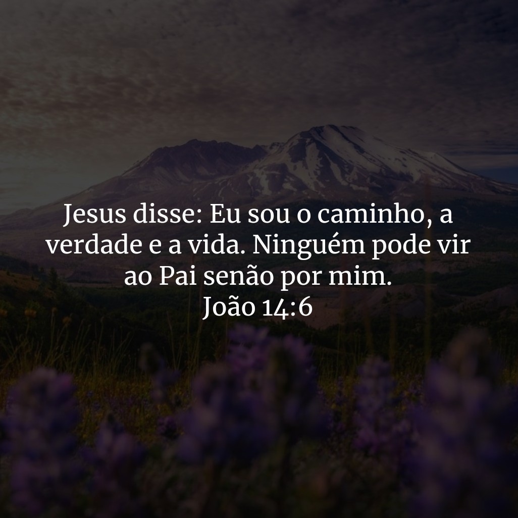 Jesus disse: Eu sou o caminho, a verdade e a vida. Ninguém pode vir ao Pai senão por mim. 

João 14:6