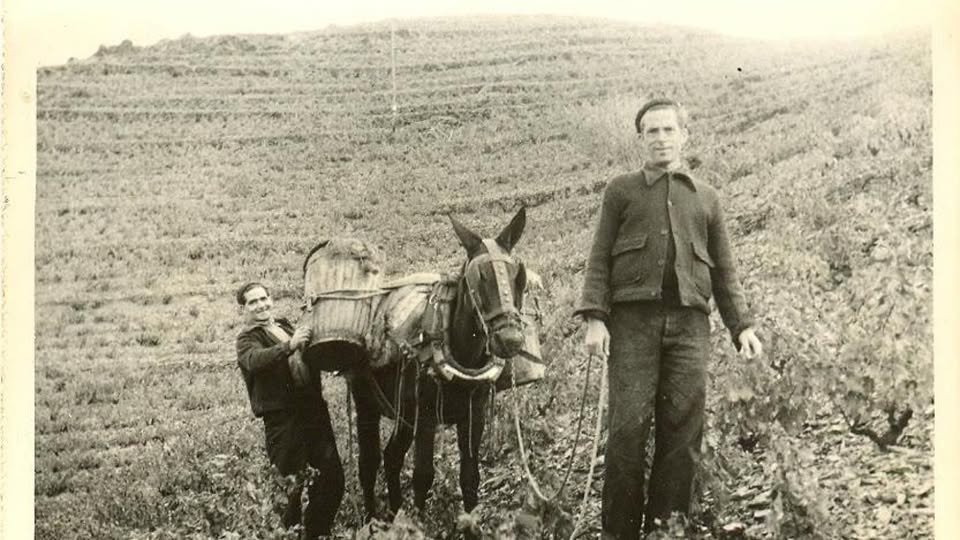 Segona correcció amb el Pere Audi del seu llibre "L’edat d’or de la vinya al Priorat (1876-1896): el fracàs d’un model". Ho torno a dir: aquest llibre desmunta bona part dels tòpics que sobre el XIX i el vi fins ara teníem al Priorat.