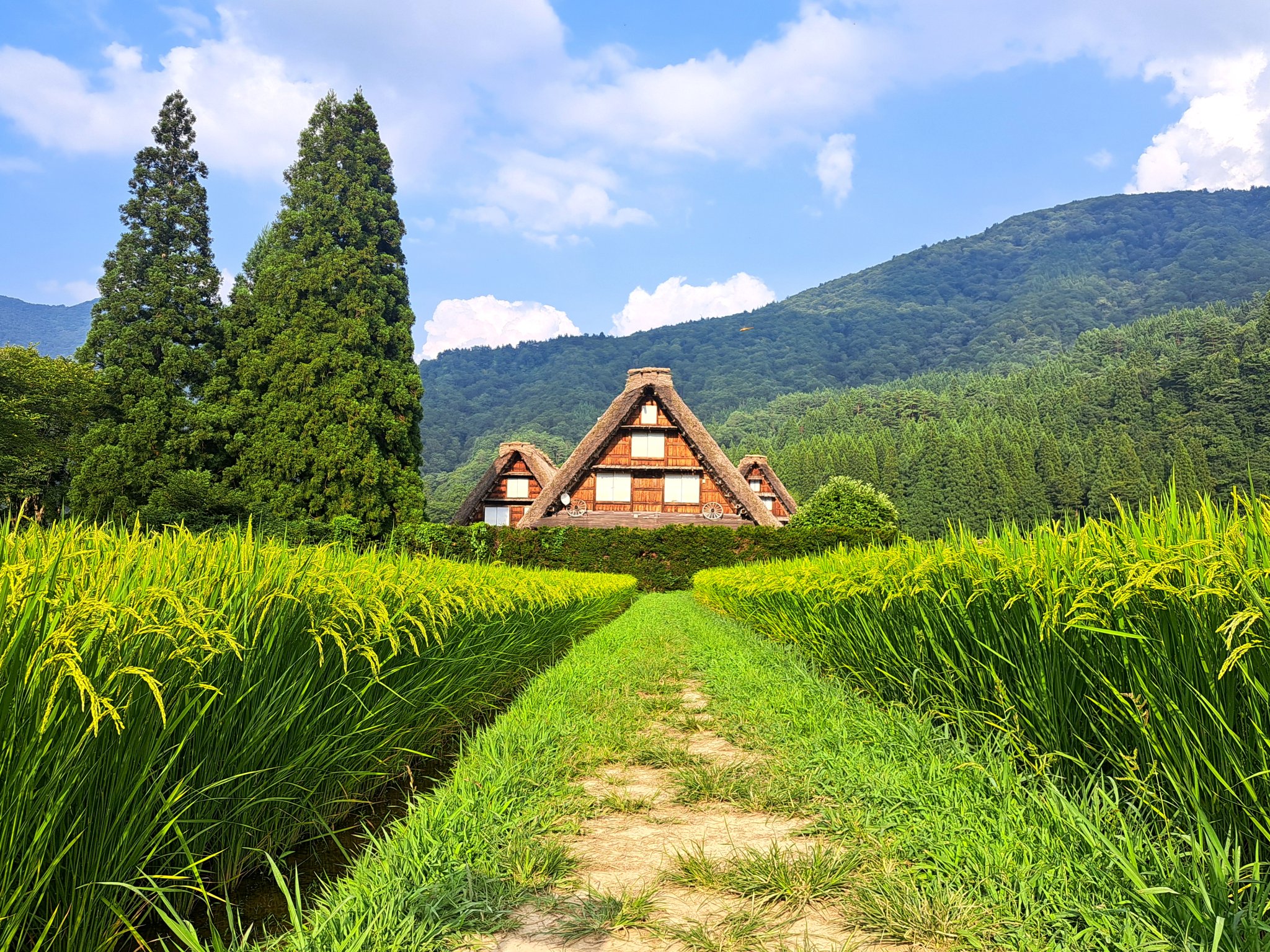 日本の晩秋・厳選風景16年【 風景写真 11-12月号　2007〜22年】16冊 日本の晩秋・厳選風景16年【 風景写真 11-12月号 2007〜22年】16冊