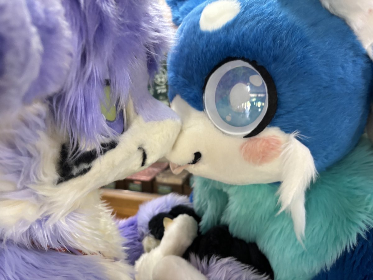 #ケモノをみて今週もがんばりマンデー
鼻チュー🩵
<a href="/hamuneko1/">ハムねこ🍣</a>