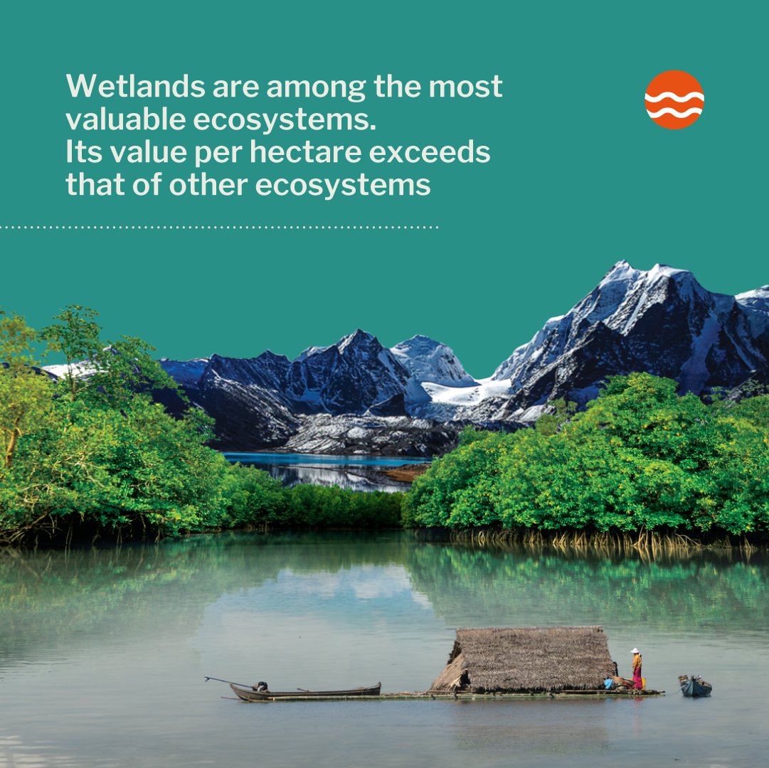 Wetlands are home to an incredible biodiversity. They are present in numerous landscapes and ecosystems and provide livelihoods for thousands of people.

However, over the centuries wetlands have gradually disappeared!

#WetlandsForOurCommonFuture #WetlandsMatter