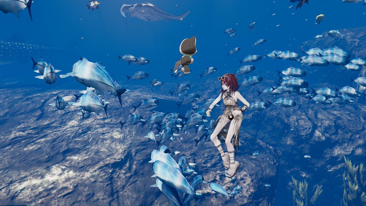 昨日のヴェルニカちゃん水着改変！
どちらも可愛い～🖤🤍
遊びに来てくれたオオカミさんと📸
噂で、このワールドは海の中も作りこまれてると聞いて潜ってみたら本当だった！奇麗だね～🐠