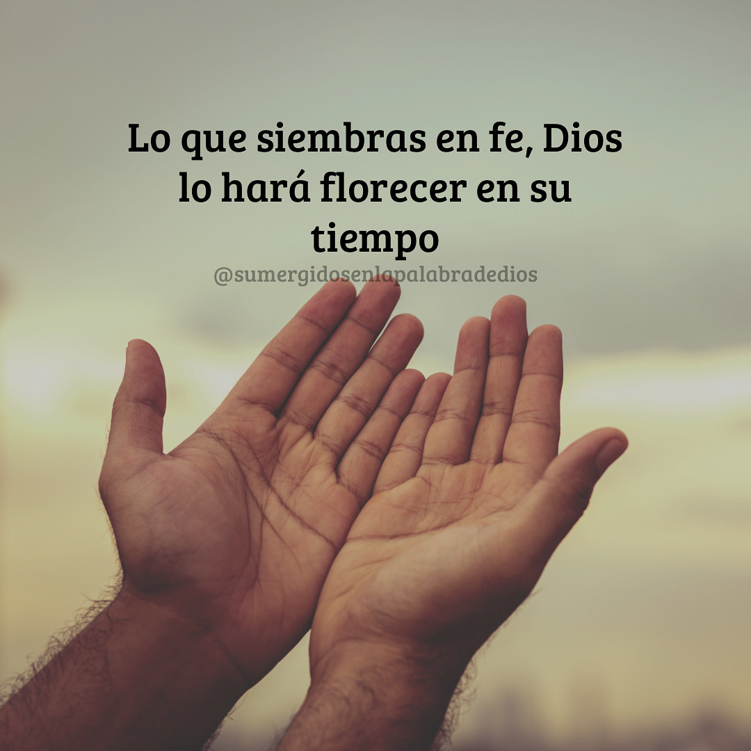 Aunque hoy no veas resultados, cada semilla de amor, oración y bondad está siendo cuidada por Dios.

No te rindas, lo que ahora parece invisible, en su tiempo dará fruto abundante.

🔎Lee:  Gálatas 6:9