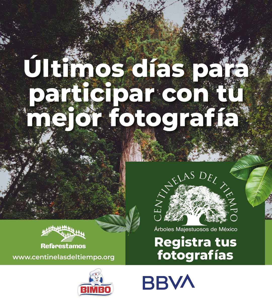 🚨 Últimos días para registrar tus fotografías en el Concurso Nacional de Fotografía #CentinelasDelTiempo 2025.  📷🌲

✅ Participa 👉 centinelasdeltiempo.org