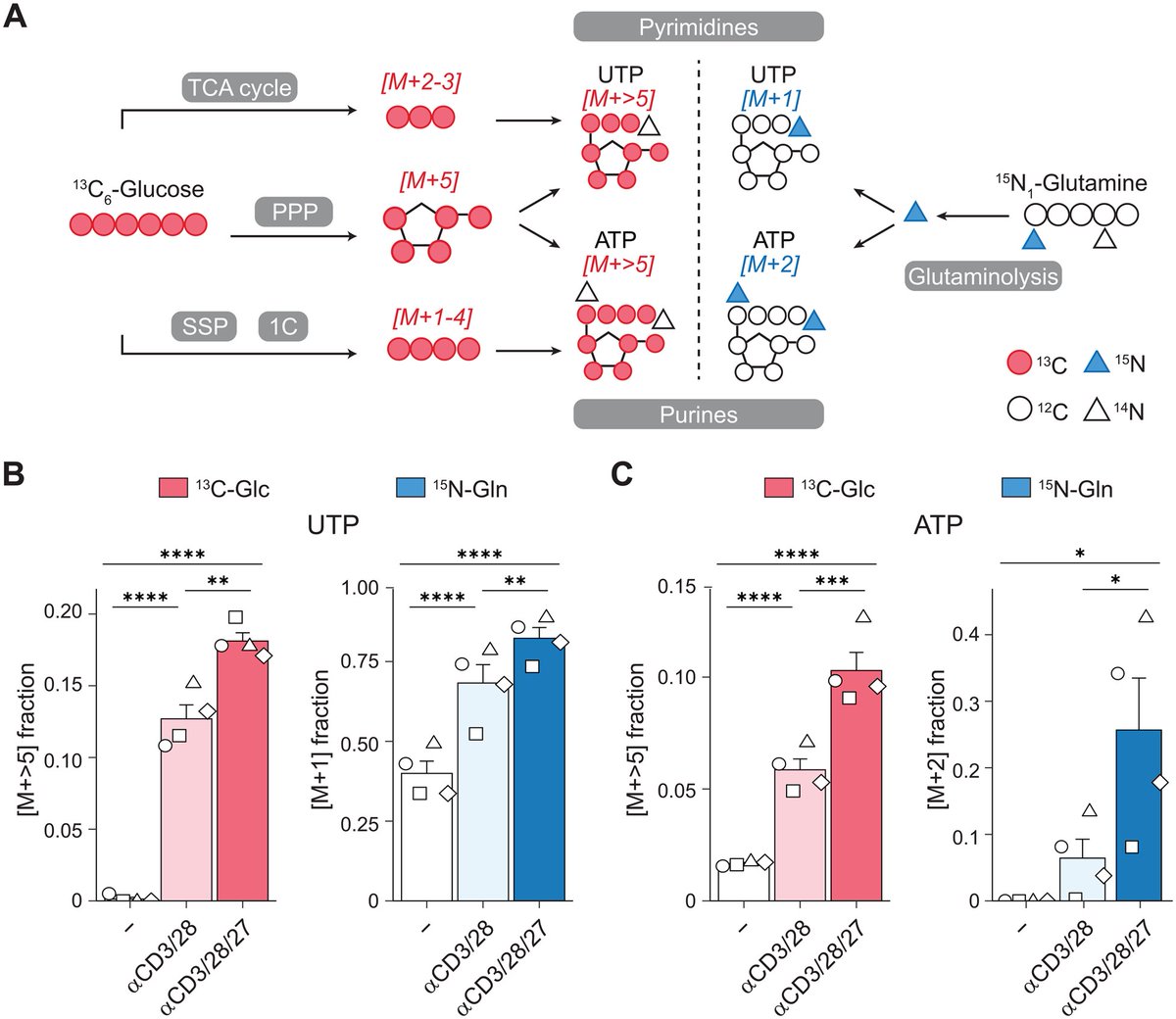 J_Immunol's tweet image. In this #TopRead article, data demonstrated that TNFR family member CD27 is a metabolic regulator in activated human CD4+ cells, suggesting its essential contribution to T-cell metabolism and its relevance as a therapeutic target. Read more in The JI: ow.ly/bCJk50WJAwi.