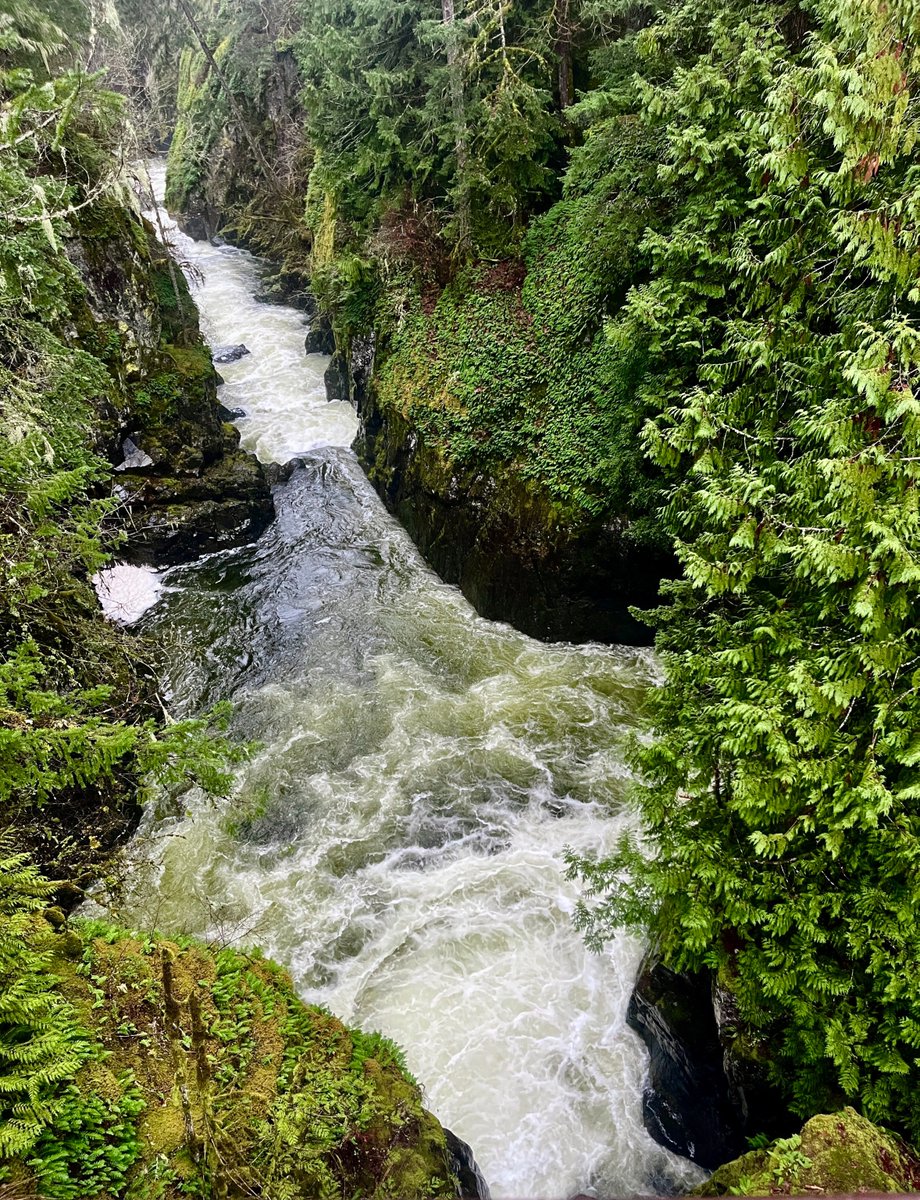 environmentca's tweet image. Barrie Bonsal studies the impacts of #ClimateChange on #freshwater and #SevereWeather events in Canada, like droughts and floods. 🌊
Read his full #SpotlightOnScience profile to learn more: ow.ly/4jFc50WLjJB
#CanSci #WorldWaterWeek
