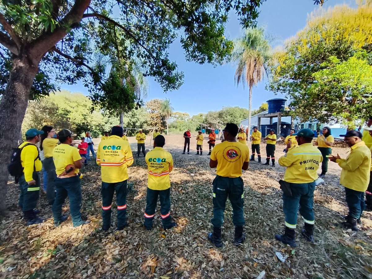 Professores da Escola das Águas, instituições e brigadistas integram ação de educação ambiental no manejo do fogo
ecoa.org.br/professores-da…