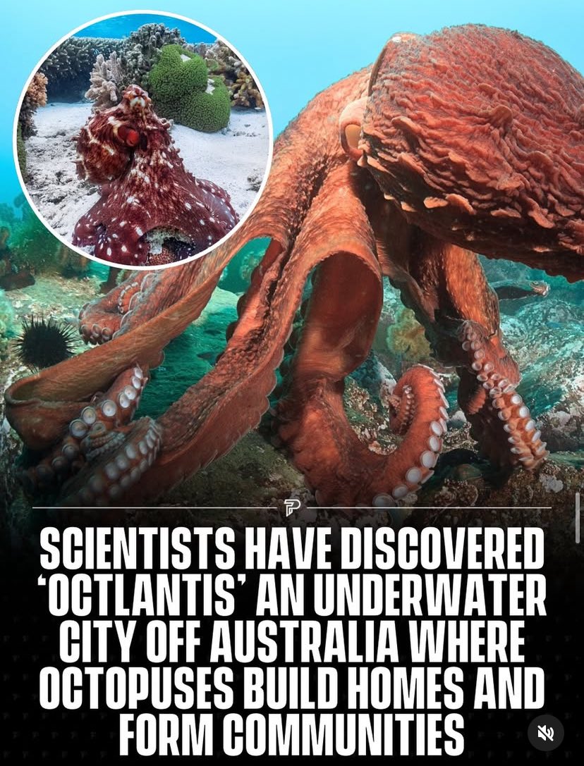 Logic Universe (@logicuniv) on Twitter photo 