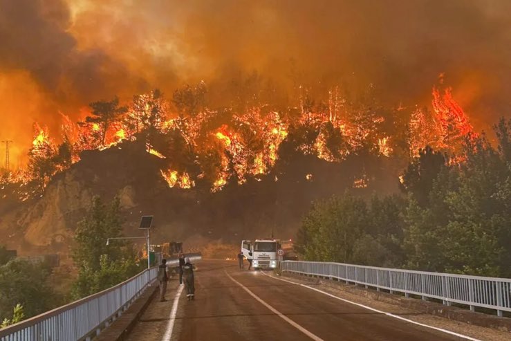 🔴 #INCENDIOS | ¡ESPAÑA SE VA A QUEMAR ENTERA! | Todos los años la misma historia, cada verano con lo de que los fuegos se apagan en invierno, lo del pastoreo tradicional como método para limpiar el monte, lo de los desbroces y cortafuegos. Luego están los pirómanos, esos