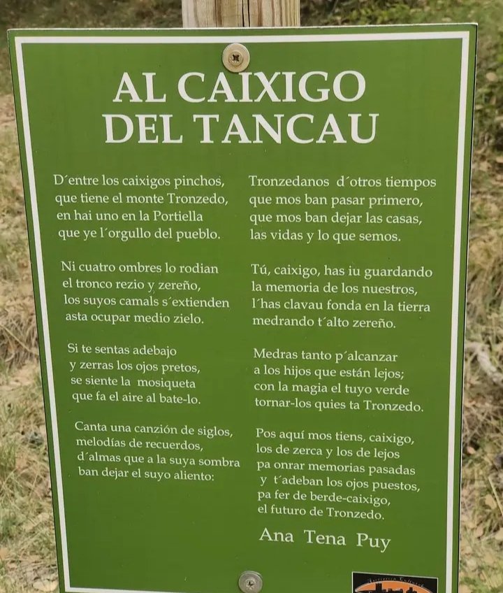 Tos dixo pero aquí el poema de Ana Tena al "Caixigo de Troncedo"