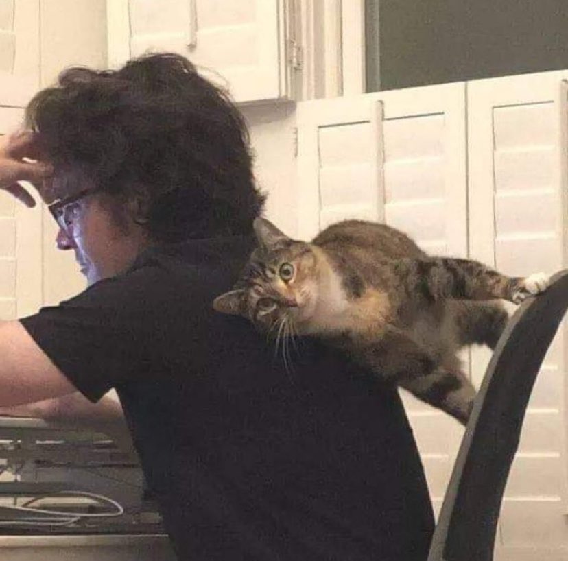 Ben ve ChatGPT