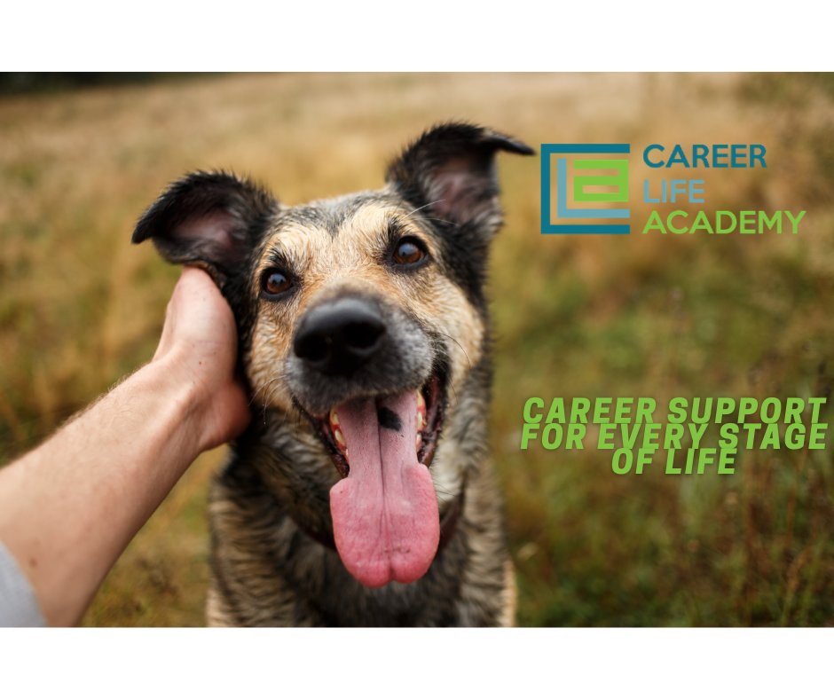 CLAcademy1's tweet photo. 🐶 Happy #NationalDogDay! 🐶
Job searching is tough—dogs remind us to pause, reset, and enjoy the little things. 🌿
Here’s to finding the right role (and celebrating our best sidekicks). 💼🐾 https://t.co/MQWaXGTyUo