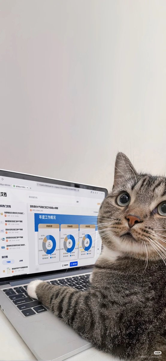 nocontextscats's tweet image. Data analyst