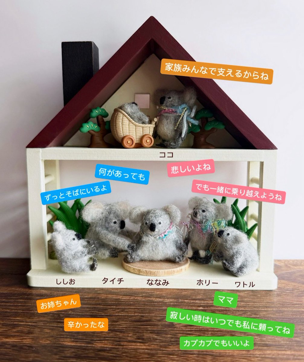 chirpysasalin's tweet image. いつも会いたいよななみ🥺
大変だったね😭
ゆっくりでいいからマイペースにね🌿
また会うまで💗

#ななみ #ホリー #ワトル
#タイチ #ししお #ココ
#東山動植物園
#コアラ #SasalinNanami🐨 
#コアラ好きな人と繋がりたい