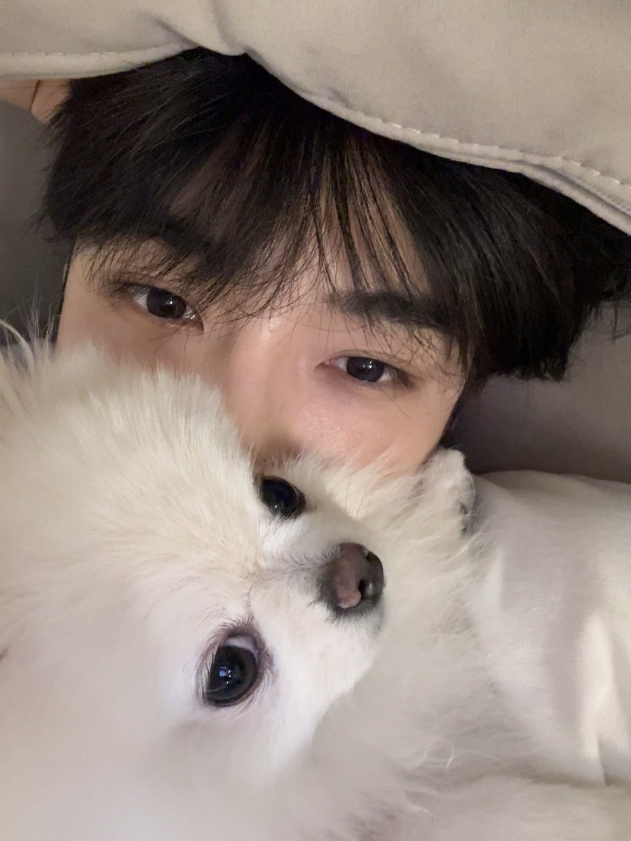 Newngdoll's tweet photo. 돔두와 차니 .. 영원히 행복했으면 ♡ https://t.co/JpojMyLuyN