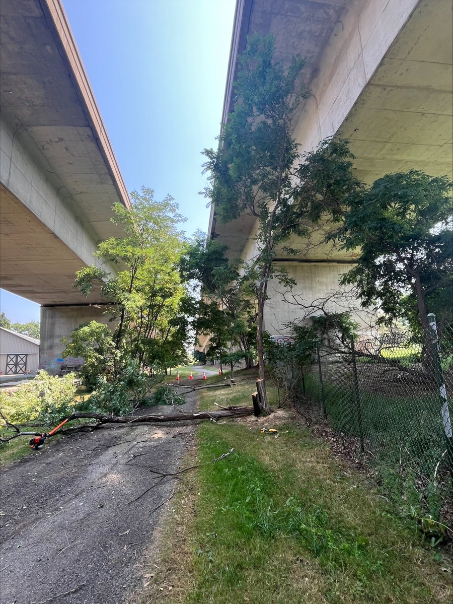 Our bridge maintenance crew recently removed trees that were growing too close to the I-390 bridge over the Genesee River. 
Whenever and wherever you see workers, please slow down and stay alert so everyone gets home safe.