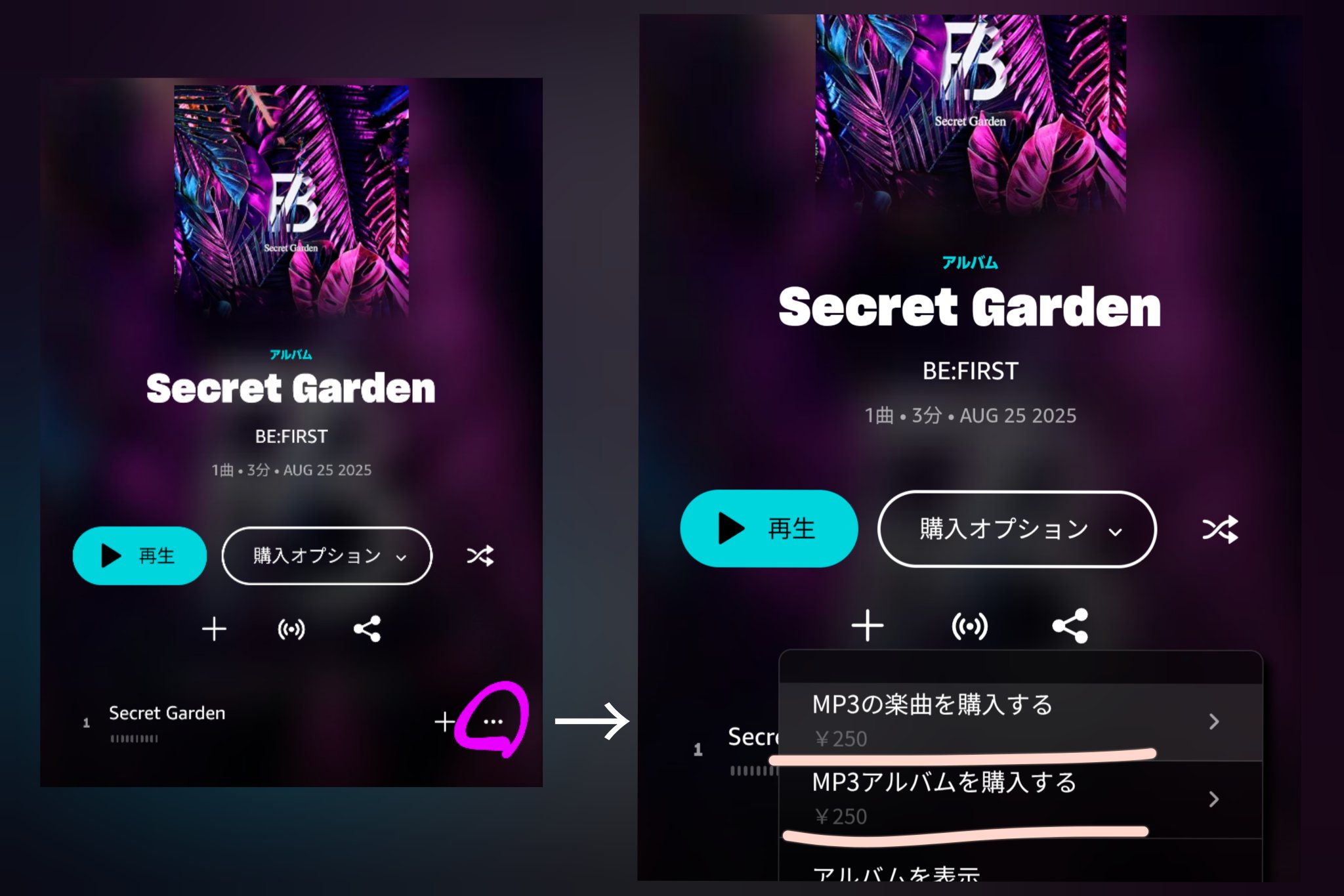 moon です。それ以外の方は❌ ️moonｼﾝﾒ *️🤍🐧🐬🤍 on X: 