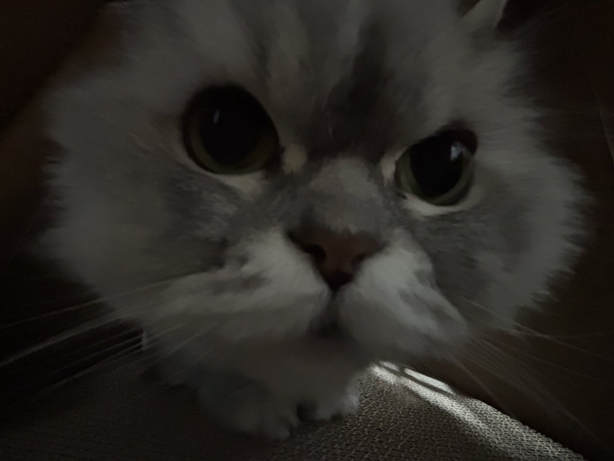 하유 (@heyxuu_) on Twitter photo 