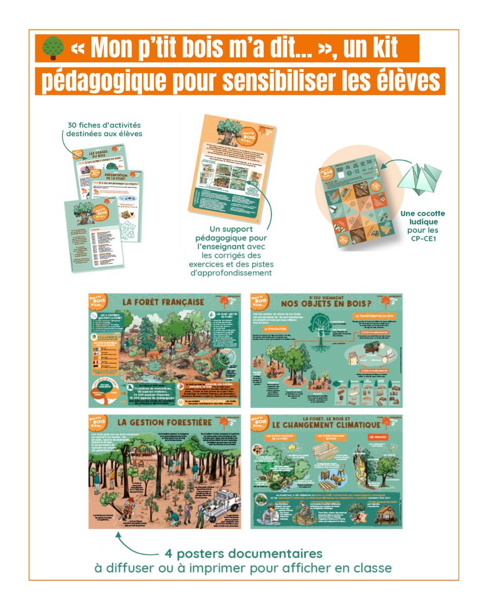 ✏️📚 À l’approche de la rentrée, France Bois Forêt vous propose un outil ludique et inédit :

🌳 « Mon p’tit bois m’a dit… », un kit pédagogique pour sensibiliser les élèves du primaire à la forêt, au bois et à leurs enjeux.

👉 franceboisforet.fr/kitpedagogique/
