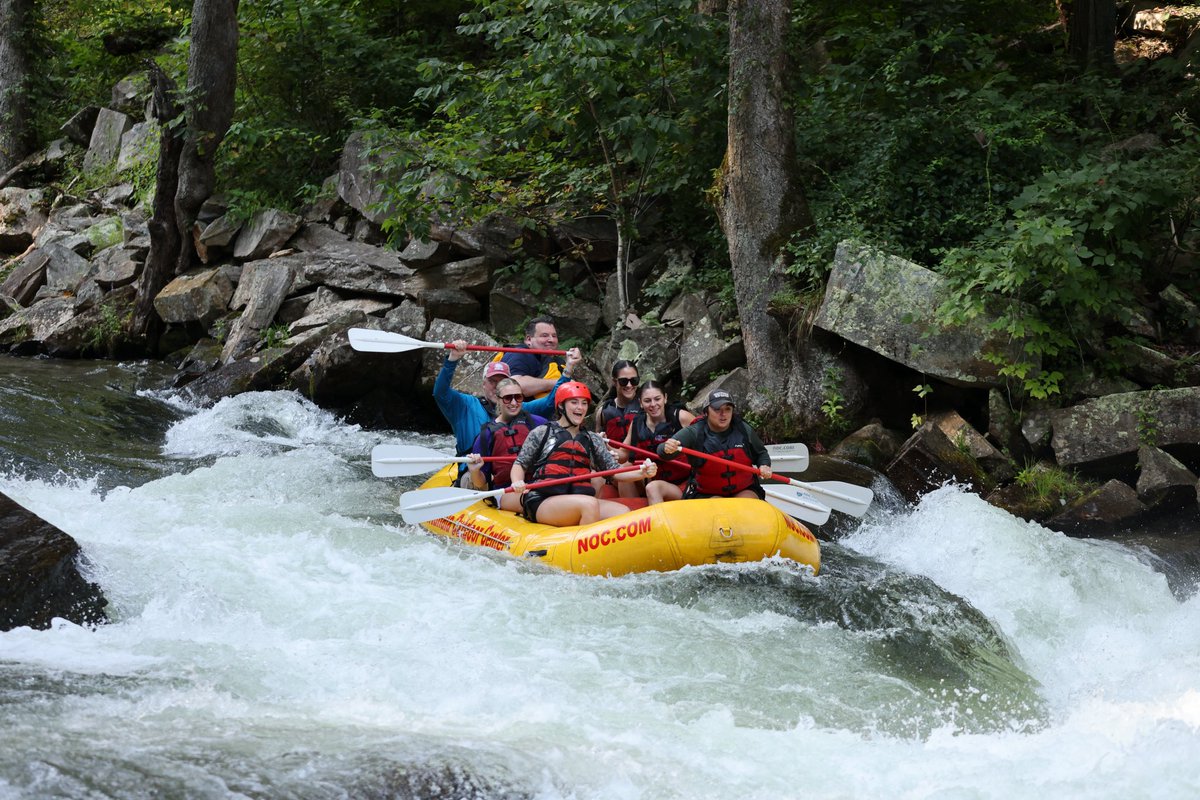 Western Carolina Softball tweet media