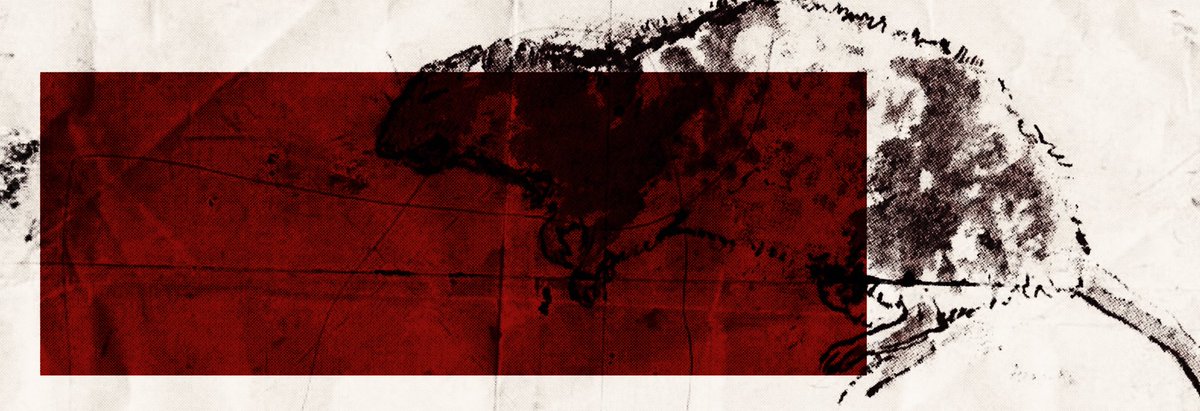 ‍ ‍ ‍ ‍ ‍ ‍ ‍ ‍ 𝖍i͟nd ̶S̶ ᴵ̲ᴳ̲ᴴ̲ᵀ̲* tweet media