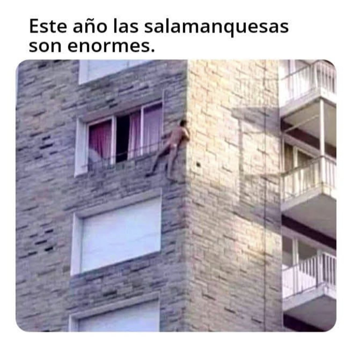 😂😂😂😂