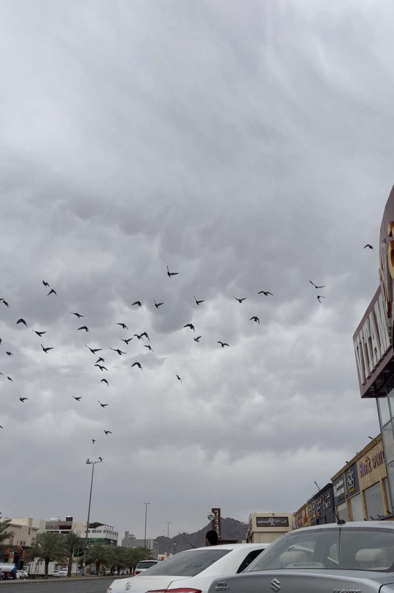 .
.

.
.
جو المدينه الان 👍🏻☁️

اللهم اغثنا 

.
.
.
