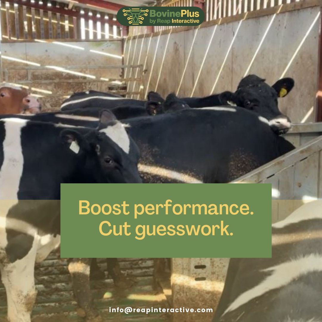 Farming shouldn’t feel like a guessing game.
With BovinePlus, you get real-time data on cattle weight, water intake, and behavior — all from one smart unit.

When you let the data speak, performance follows.

#SmartFarming #LivestockInnovation #BovinePlus #FutureOfFarming